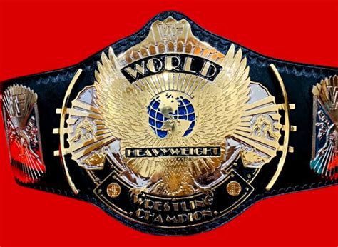 With a one-night tournament, 14 men were entered for. . Wwf belt